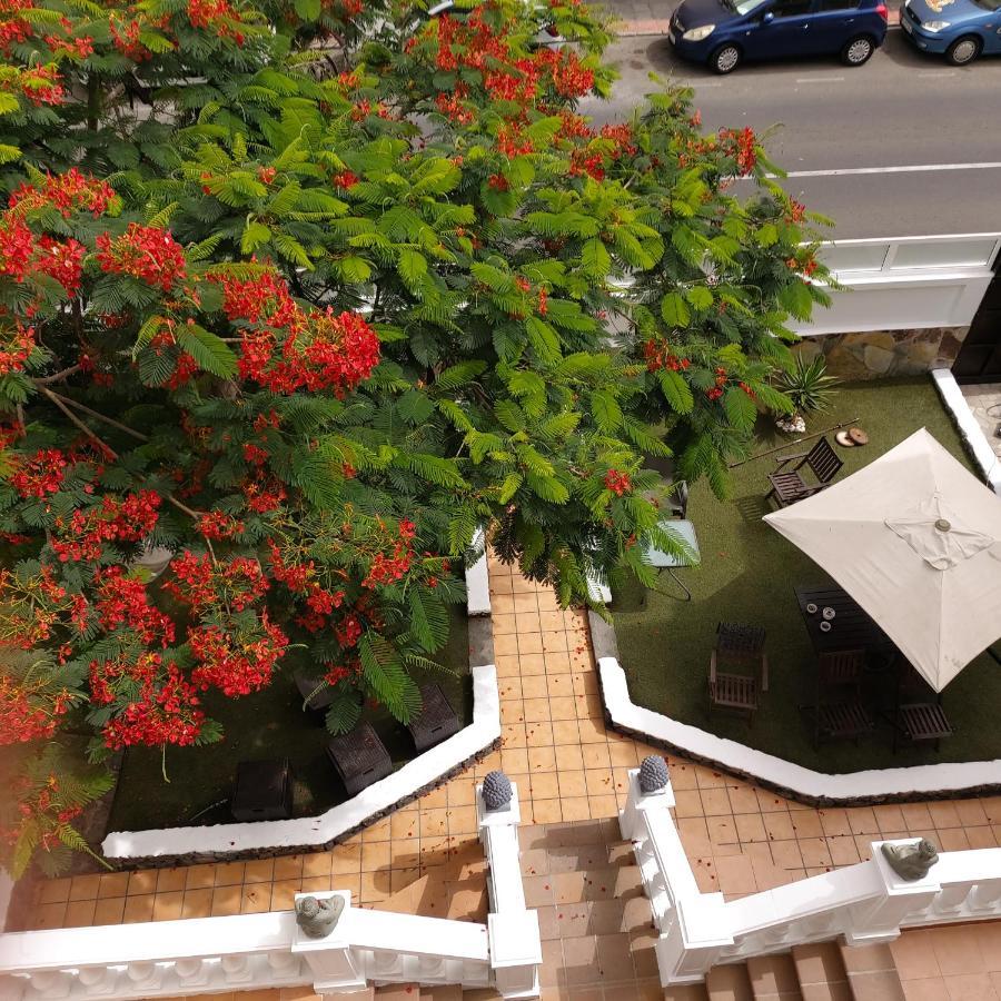 Albergue Garden&relax Corralejo